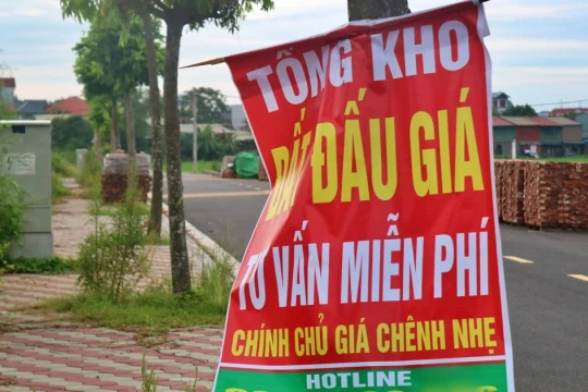 Bỏ cọc trong đấu giá đất: Cần chế tài sát thực tiễn