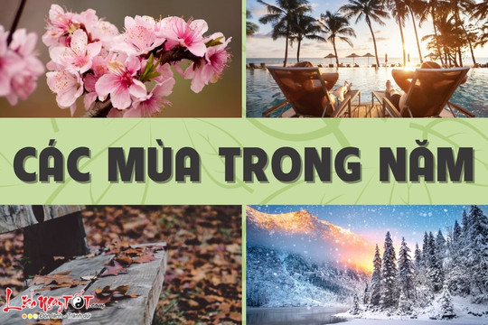 Mùa là gì, các mùa trong năm Xuân, Hạ, Thu, Đông được tính ra sao?