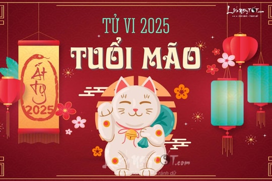 Tử vi tuổi Mão 2025: Tam Tai phủ đầu, tổn hao sức khỏe nhưng sự THÀNH lộc PHÁT sau bao trở ngại