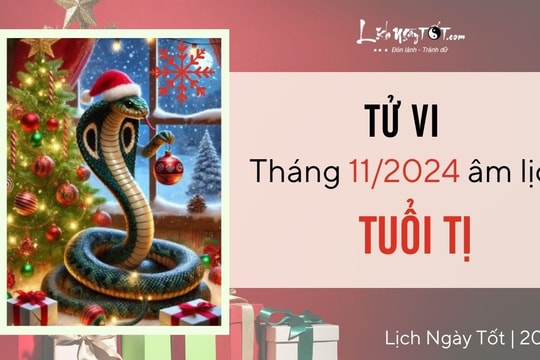 Tử vi tháng 11/2024 tuổi Tị âm lịch: Tinh thần lạc quan, hiện thực hóa mục tiêu