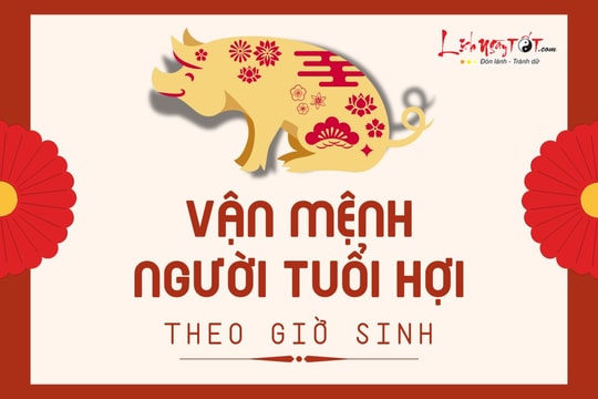 Vận mệnh người tuổi Hợi theo giờ sinh: Bạn có phải là người tham vọng?