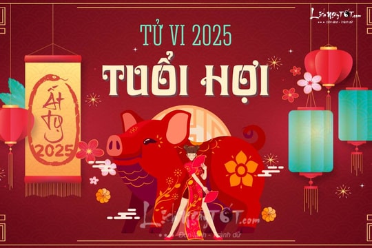 Tử vi tuổi Hợi 2025: Lâm thế "1 cổ 2 tròng", Thái Tuế và Tam Tai gây HỌA, hung hiểm khó lường