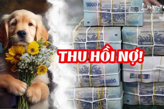 Cuối năm thu hồi được món nợ lớn, 3 tuổi này có cả NÚI TIỀN, đón Tết tưng bừng