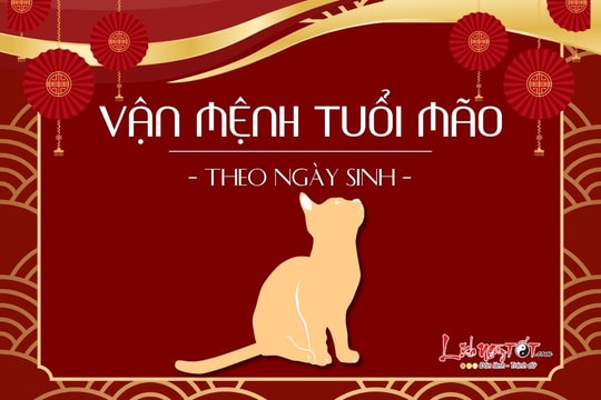 Vận mệnh người tuổi Mão theo ngày sinh: Bạn có số phú quý, may mắn ngập tràn?