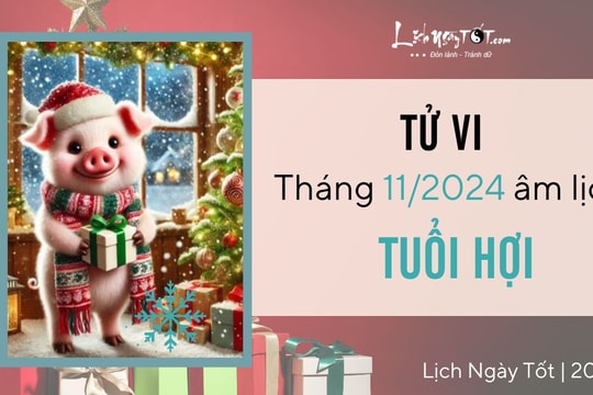 Tử vi tháng 11/2024 tuổi Hợi âm lịch: Hung cát tiềm tàng, thận trọng hành xử