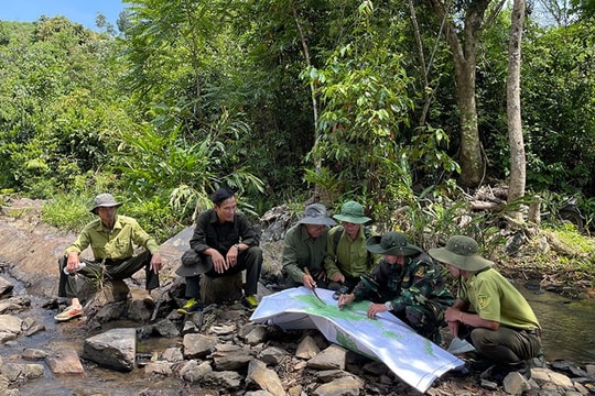 Công nghệ là một trong những yếu tố then chốt để bảo vệ, phát triển rừng bền vững