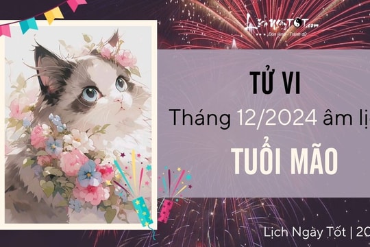 Tử vi tháng 12/2024 tuổi Mão âm lịch: Chưa có đột phá, nhiều nỗi muộn phiền mới