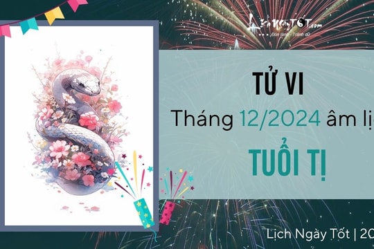 Tử vi tháng 12/2024 tuổi Tị âm lịch: Vận trình rực rỡ, vụt sáng ở nhiều phương diện