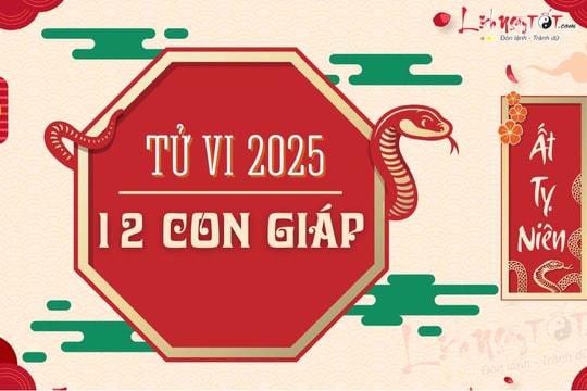 Xem TỬ VI 2025 của 12 con giáp - Luận giải chi tiết lá số tử vi năm Ất Tỵ đầy đủ tất cả các tuổi