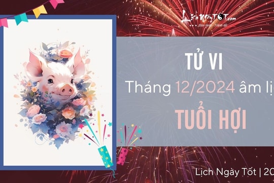 Tử vi tháng 12/2024 tuổi Hợi âm lịch: Bớt nhiều nỗi lo, cuộc sống nhẹ nhàng