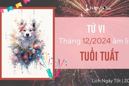 Tử vi tháng 12/2024 tuổi Tuất âm lịch: Đừng từ bỏ các mục tiêu dài hạn vì khó khăn tạm thời