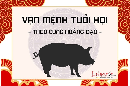 Vận mệnh người tuổi Hợi theo cung hoàng đạo: Cuộc đời bình yên hay sóng gió?