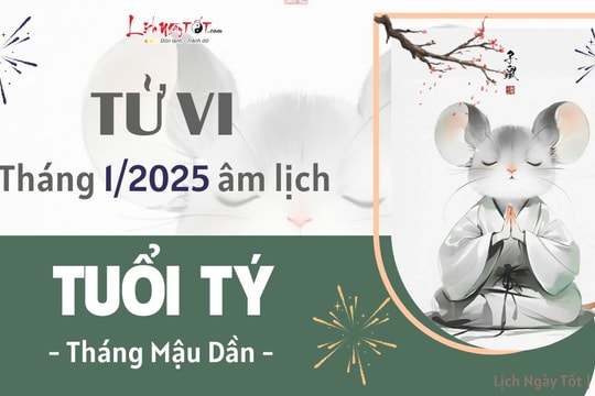 Tử vi tháng 1/2025 tuổi Tý âm lịch: Tháng đầu tiên của năm mới có tài chính rực rỡ nhưng dễ gặp tiểu nhân