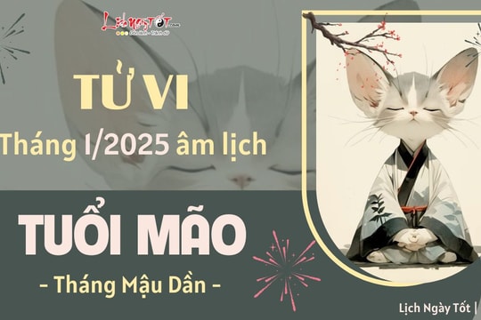 Tử vi tháng 1/2025 tuổi Mão âm lịch: Có cơ hội phát tài nhỏ, tránh khoe khoang kẻo mất lộc