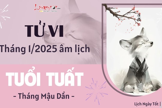 Tử vi tháng 1/2025 tuổi Tuất âm lịch: Nên linh hoạt tránh vướng thị phi không đáng có