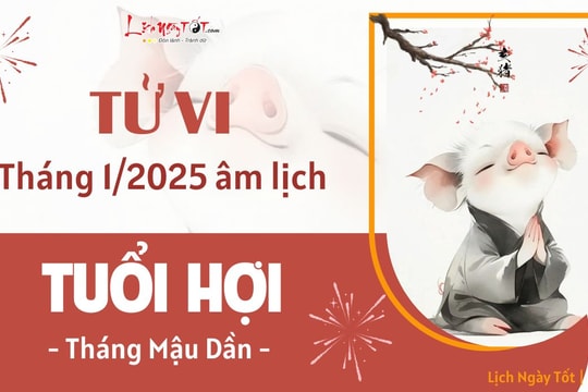 Tử vi tháng 1/2025 tuổi Hợi âm lịch: Buồn vui xen lẫn nhưng hãy vững tin vào tương lai