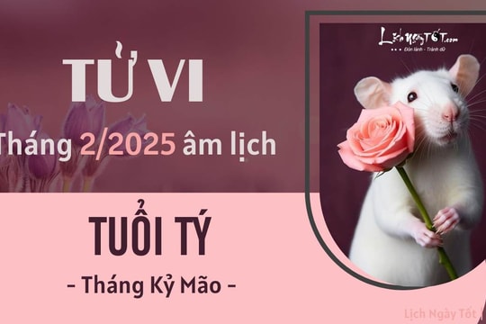 Tử vi tháng 2/2025 tuổi Tý âm lịch: Khổ trước sướng sau