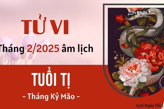 Tử vi tháng 2/2025 tuổi Tị âm lịch: Phất lên bất ngờ