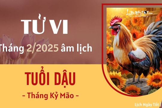 Tử vi tháng 2/2025 tuổi Dậu âm lịch: Có nhiều tin vui mới