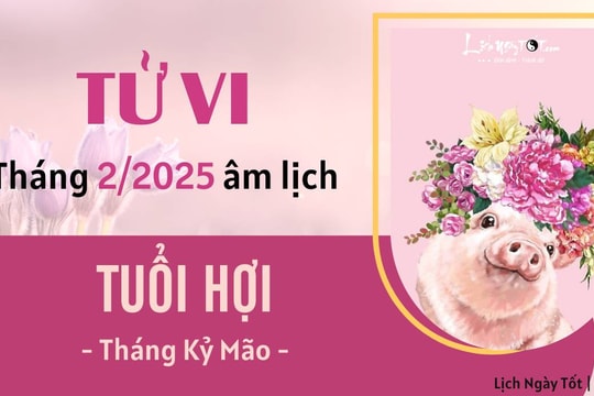 Tử vi tháng 2/2025 tuổi Hợi âm lịch: Hãy thương lấy chính mình