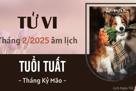 Tử vi tháng 2/2025 tuổi Tuất âm lịch: Số có lộc nhưng không có dư