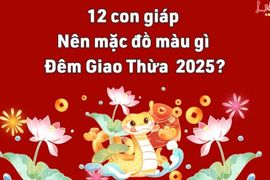 12 con giáp nên mặc đồ MÀU gì đêm Giao Thừa 2025 để đổi vận, đón lộc xuân?