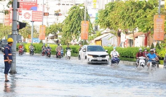 Nam Bộ đón triều cường đúng dịp Tết, ngập úng nhiều nơi