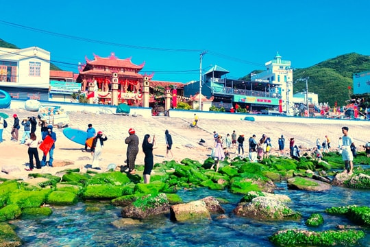 Nắng ấm, rêu xanh bung 'lộc' ở làng chài Quy Nhơn, giới trẻ đổ xô đến check-in