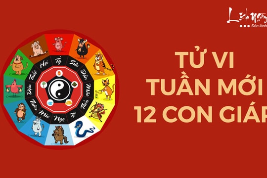Tử vi tuần mới của 12 con giáp từ 3 - 9/2/2025: Những ngày đi làm sau Tết ai hứng khởi nhất?