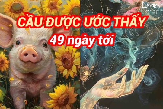 49 ngày tới cầu ĐƯỢC ước thấy, 4 tuổi này làm gì cũng TRÚNG, ôm hết tiền của trong thiên hạ