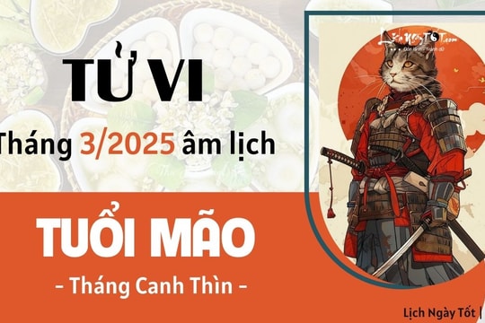 Tử vi tháng 3/2025 tuổi Mão âm lịch: Đối mặt với nhiều khó khăn và bế tắc