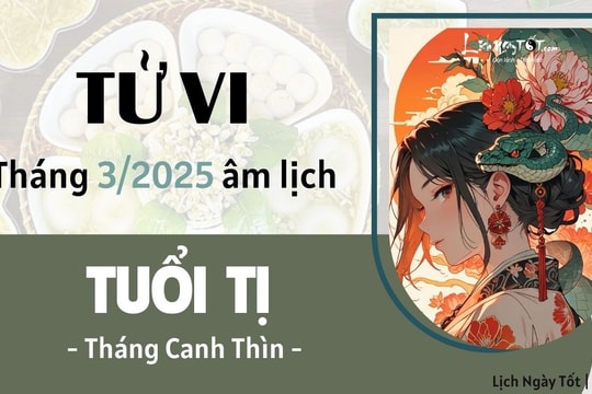 Tử vi tháng 3/2025 tuổi Tị âm lịch: Có thể mưu sự lớn, lợi nhuận gấp bội lần