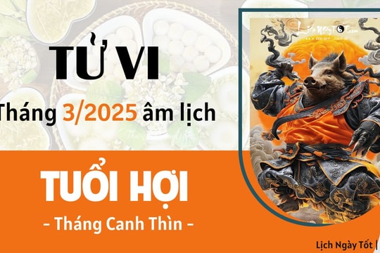 Tử vi tháng 3/2025 tuổi Hợi âm lịch: Áp lực và trở lực ngày càng nhiều