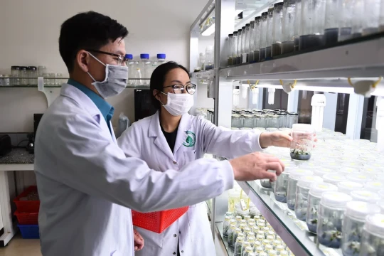 Cơ sở GD Đại học triển khai NQ 57: Nâng cao chất lượng nghiên cứu và ứng dụng