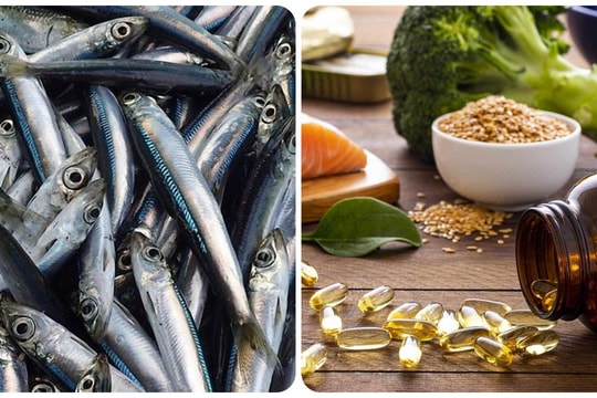 Loại cá giàu Omega-3 bậc nhất tốt cho người bị gan nhiễm mỡ