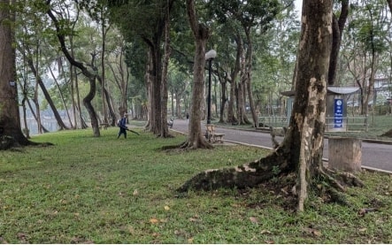 Nỗ lực làm “sống” lại các công viên đang xuống cấp ở Hà Nội vẫn trên giấy?