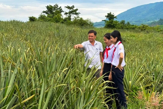 Học sinh tạo tóc giả từ lá dứa