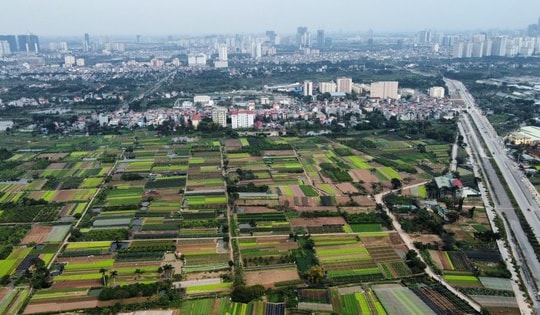 Gia hạn nộp tiền thuê đất năm 2025