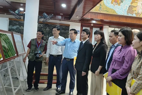 Trưng bày 50 tác phẩm xuất sắc về ‘Phú Thọ - Đất Tổ cội nguồn’