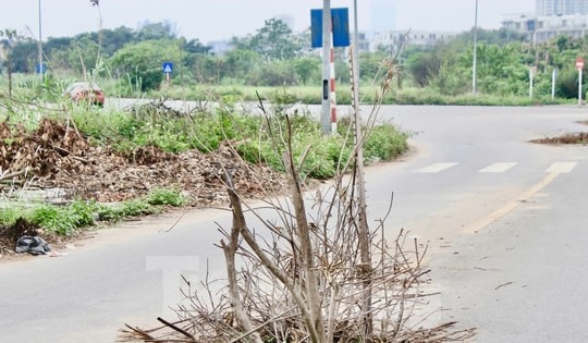 Hà Nội: Công viên nghìn tỷ dang dở, thành nơi trồng rau, đổ rác, tập lái ô tô