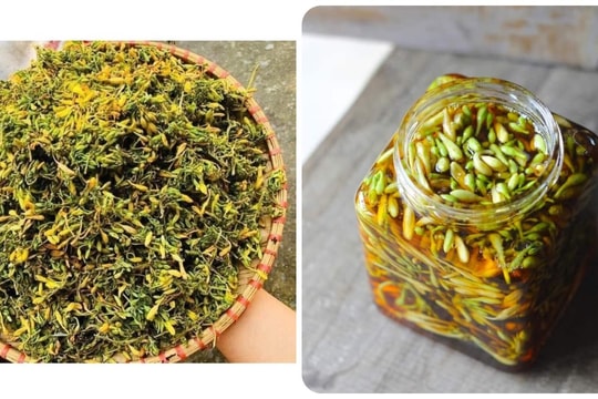 6 tác dụng của hoa đu đủ đực với sức khoẻ