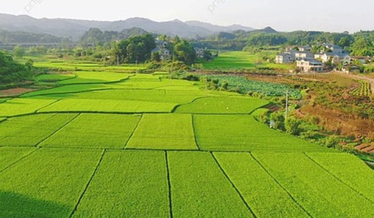 Chi tiết về hồ sơ, thủ tục khi người dân muốn xây nhà trên đất nông nghiệp theo Luật Đất đai mới