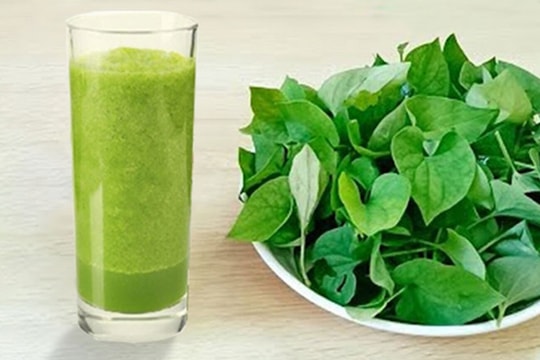 Uống nước ép diếp cá có tác dụng gì?
