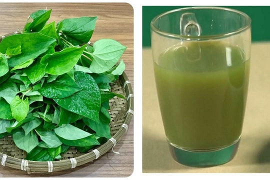Những người không nên uống nước ép rau diếp cá