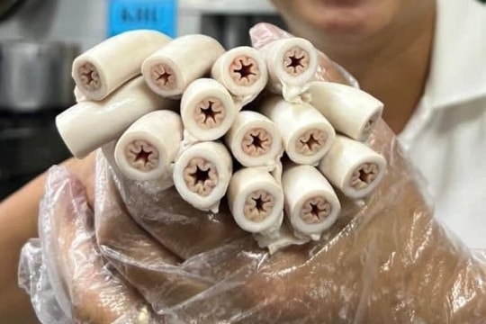 Lòng se điếu có bổ dưỡng hơn lòng non thông thường?