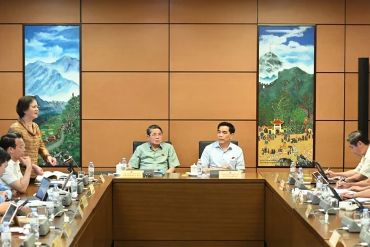 Vẫn giữ ngạch công chức trong vị trí việc làm
