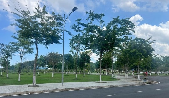Chi tiết 29 dự án cây xanh Bộ Công an yêu cầu Bạc Liêu cung cấp hồ sơ