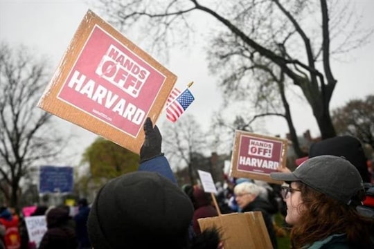 Đối đầu với Nhà Trắng, mọi kịch bản với Đại học Harvard đều bất lợi?