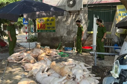 Phát hiện hơn 1 tấn thịt lợn ‘bẩn’ chuẩn bị đưa vào bếp ăn công nhân
