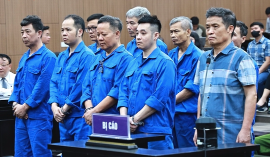Vụ buôn lậu đất hiếm gây thiệt hại 736 tỷ đồng: Cựu Thứ trưởng Bộ TN&MT được đề nghị án treo
